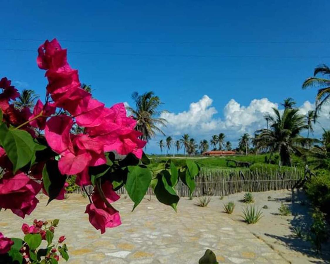 Pousada Chale Paraiso - Icapuí المظهر الخارجي الصورة